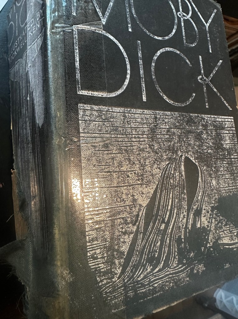 The current image has no alternative text. The file name is: img_3168.jpg